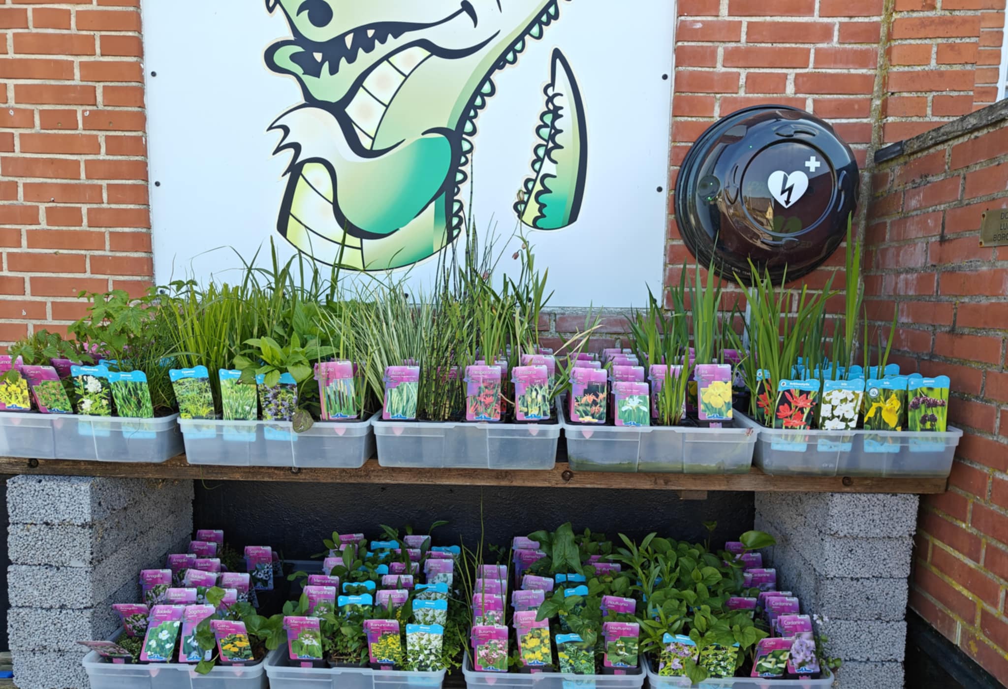 planter